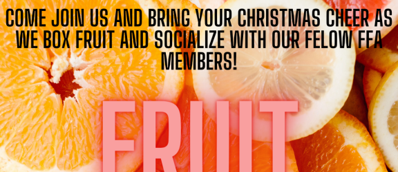 Fruit Boxing flyer